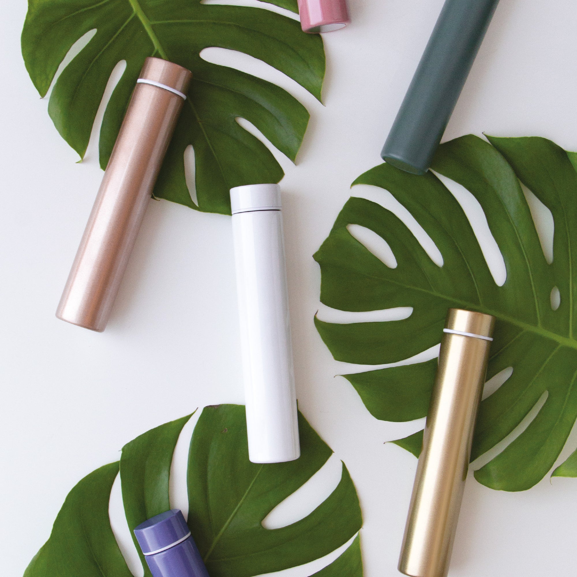 Slim Flask Bottle in Tube | 正價