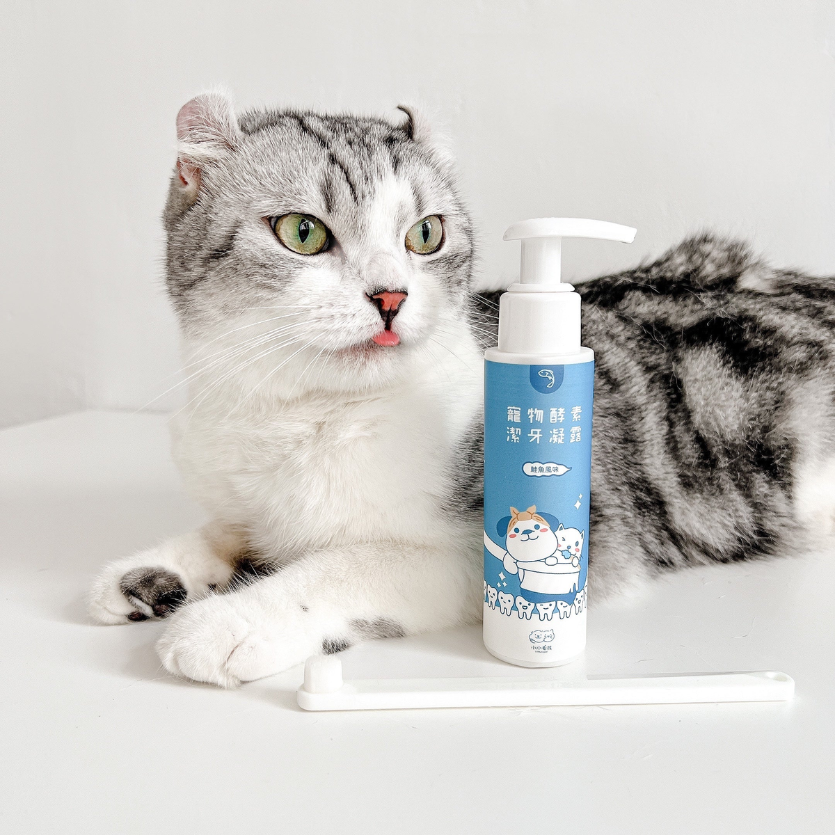 | 寵物用品 Pet supplies |