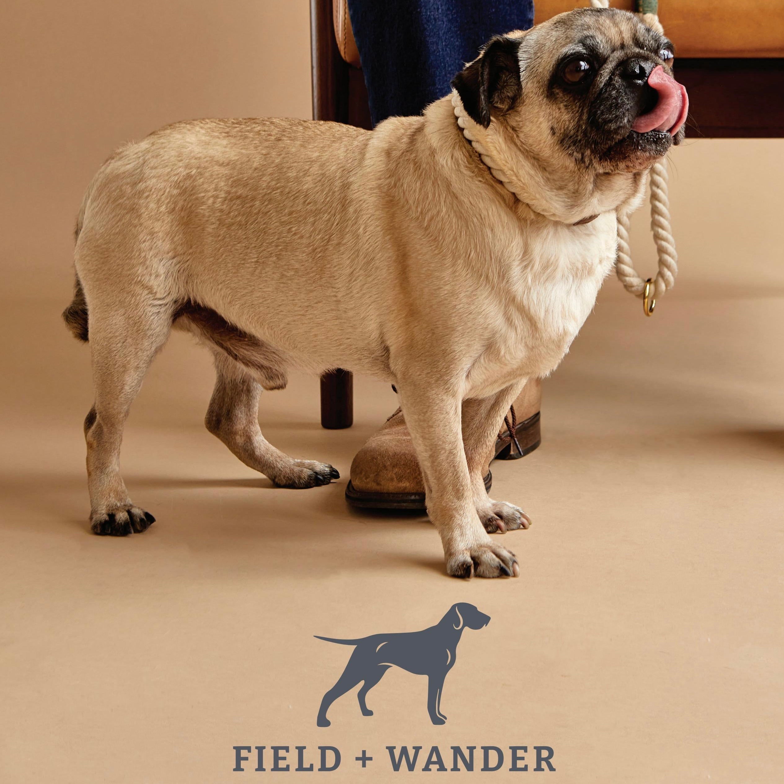 Field + Wander