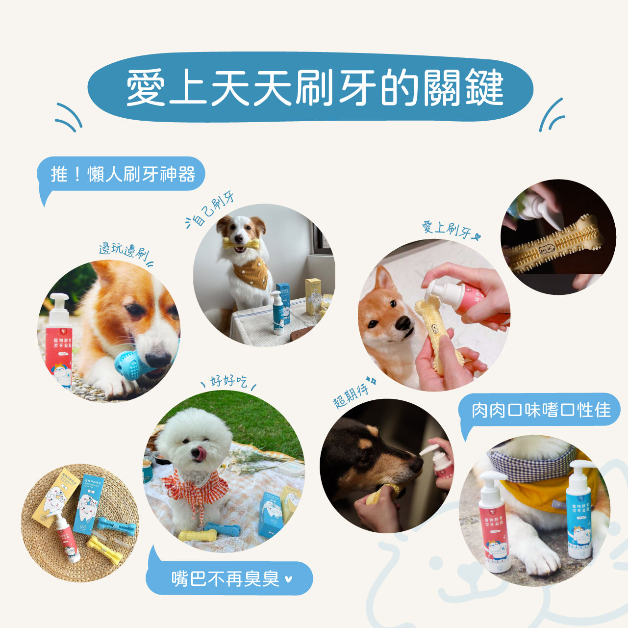 Dog Pet Care | 寵物酵素抗菌潔牙凝露｜正價