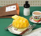 Dog Pet Toy | Pineapple Bun | Sniffing Toy | 正價