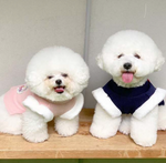Dog Pet Wear | Korean Vest | 正價