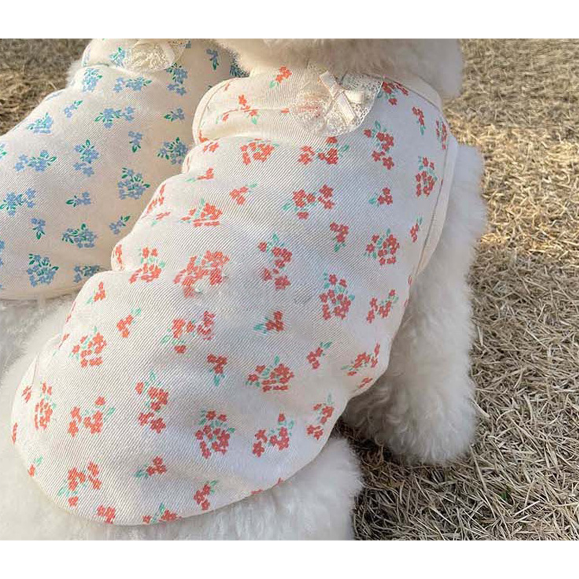 Dog Pet Wear | Heidi Sleeveless | 正價