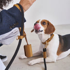 SMIER | S-rope Dog Leash |  正價