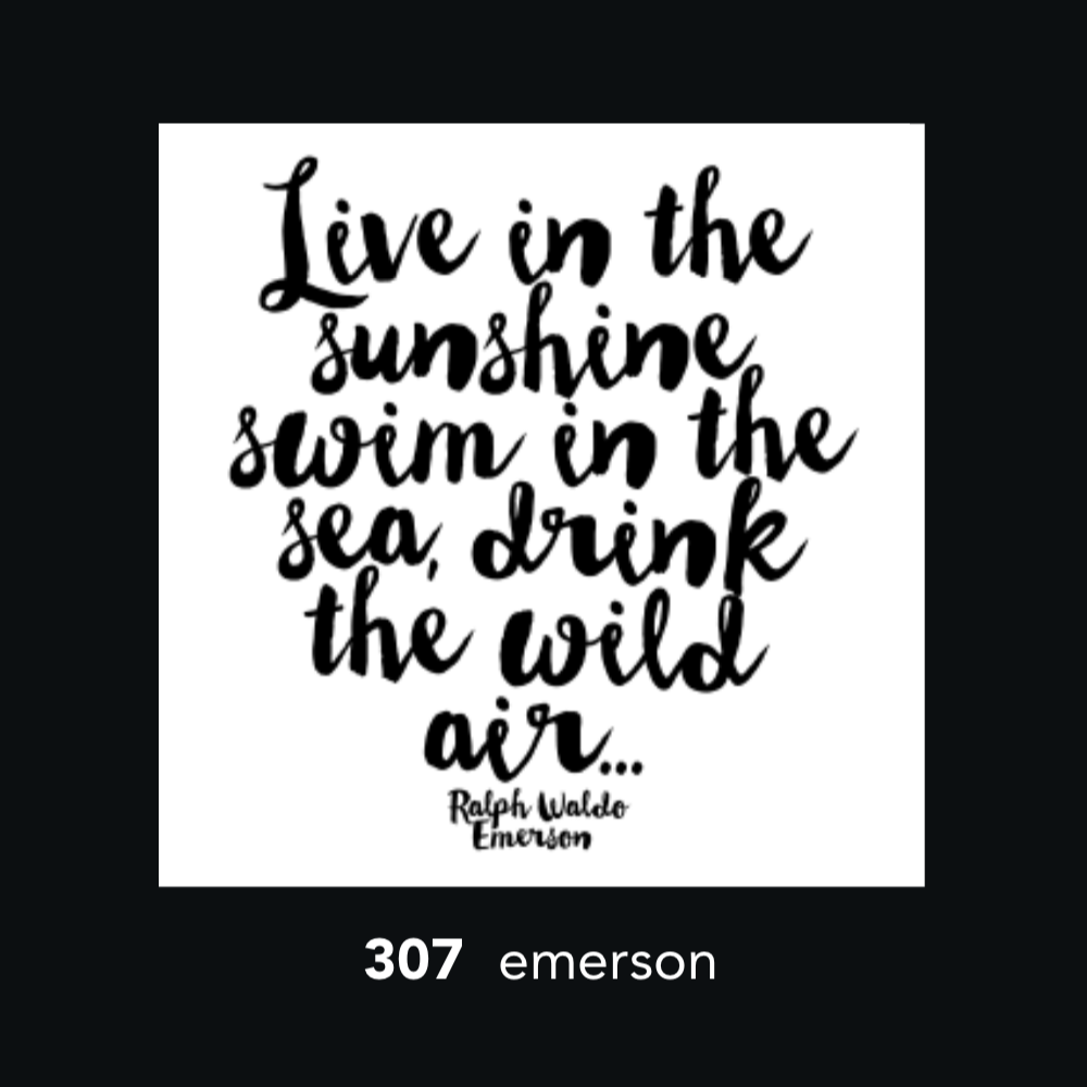 307 - Live in Sunshine (197163319307)