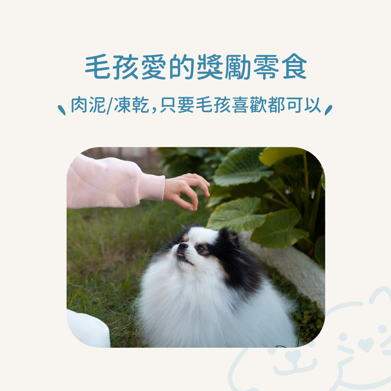 Dog Pet Care | 寵物正向行為訓練響片｜正價