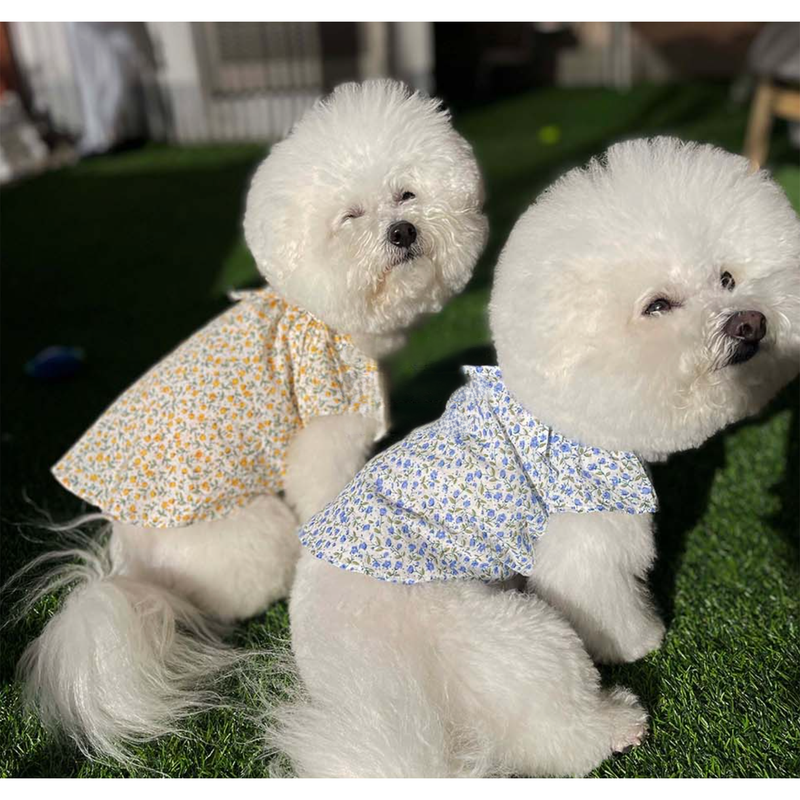 Dog Pet Wear | Blossom One Piece | 正價