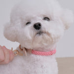 SMIER | S-rope Dog Collar |  正價