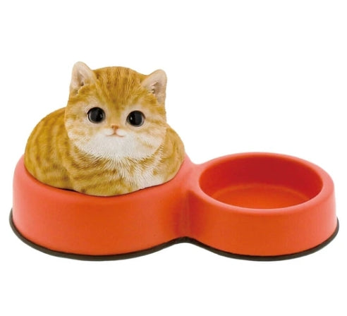 Children Ornament | Cat Dish | Brown Tiger White | 正價