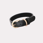 SMIER | H-rope Dog Collar |  正價