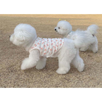 Dog Pet Wear | Heidi Sleeveless | 正價