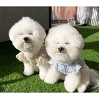 Dog Pet Wear | Blossom One Piece | 正價