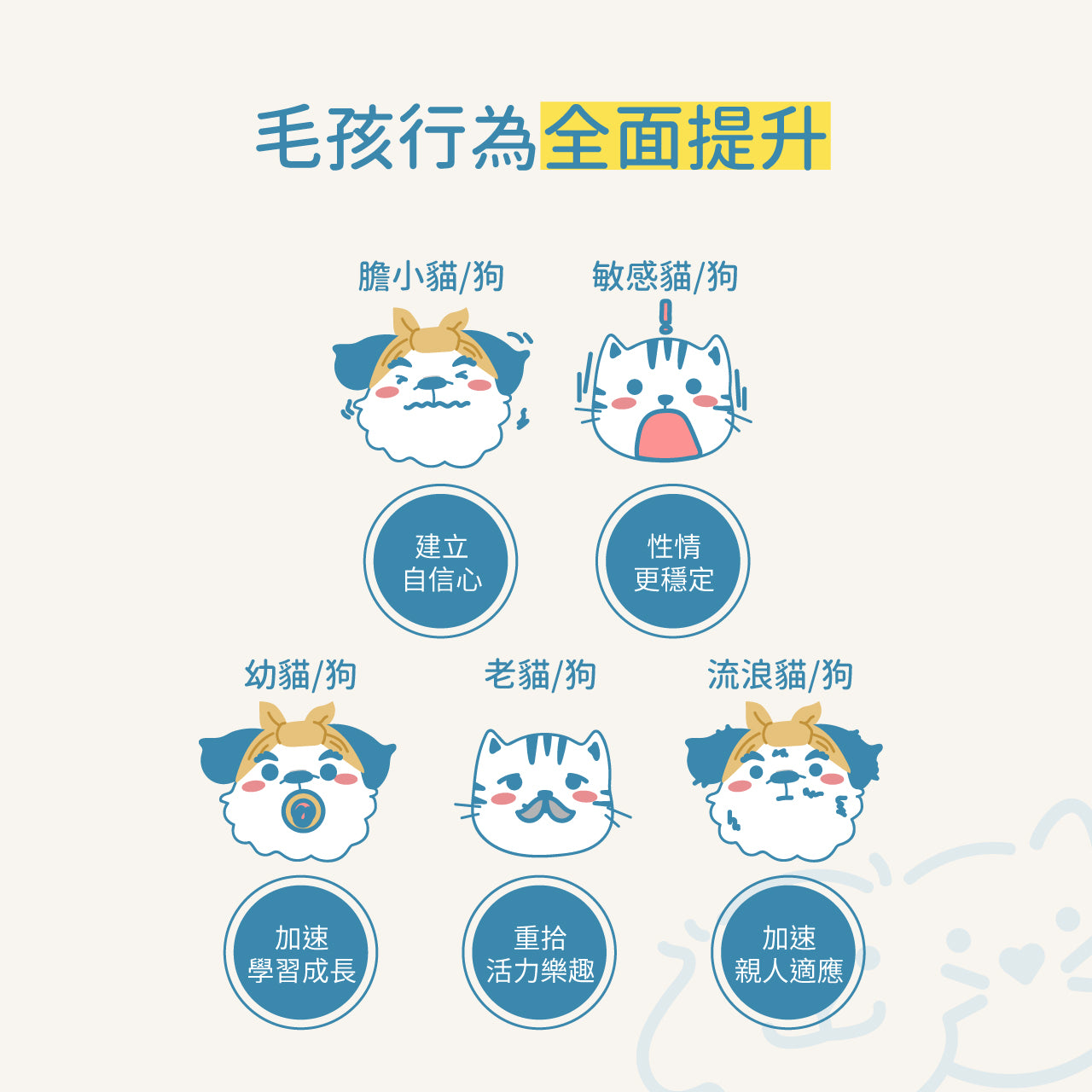 Dog Pet Care | 寵物正向行為訓練響片｜正價
