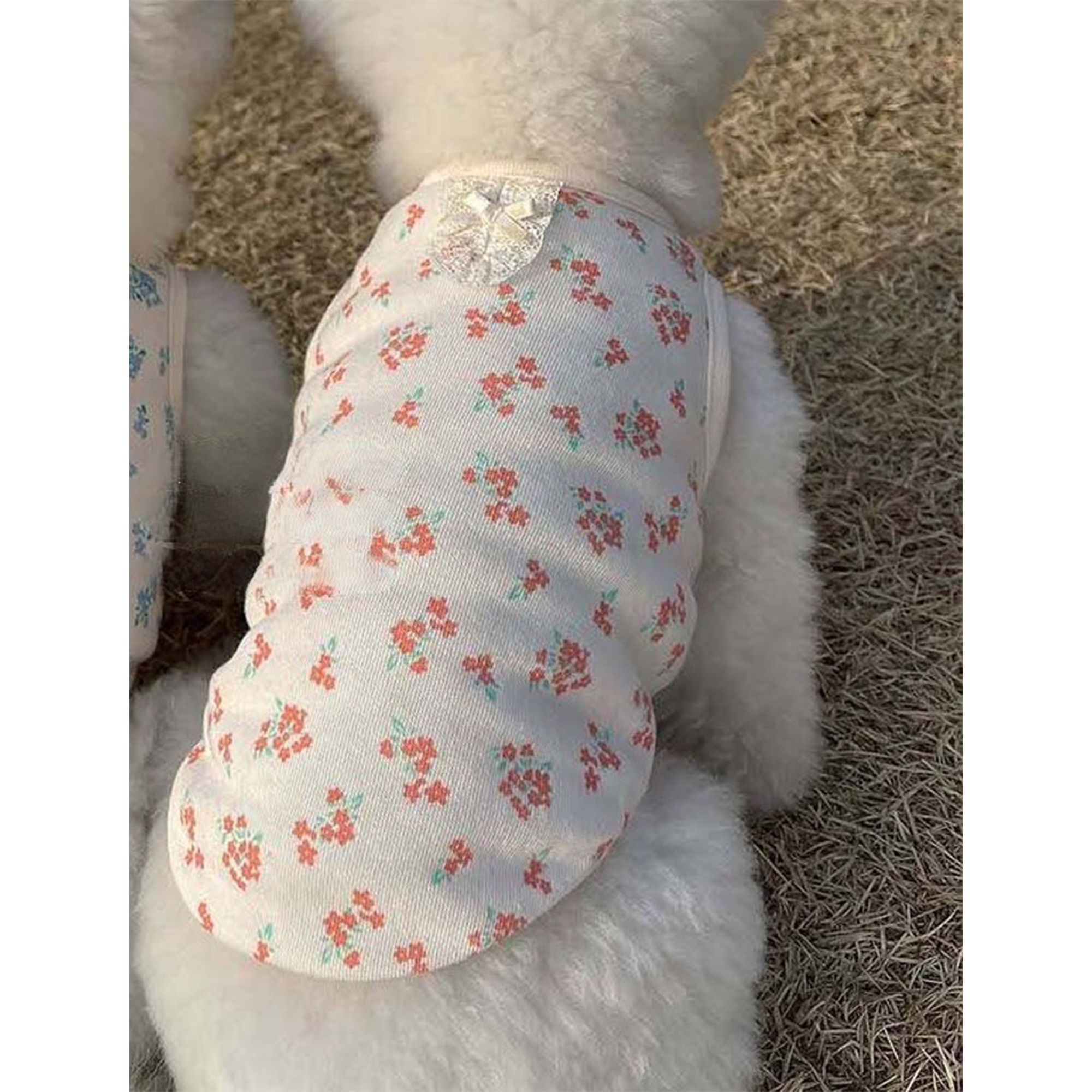 Dog Pet Wear | Heidi Sleeveless | 正價