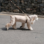 SMIER | S-rope Dog Harness |  正價