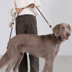 SMIER | S-rope Dog Leash |  正價