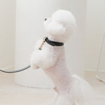 SMIER | H-rope Dog Collar |  正價