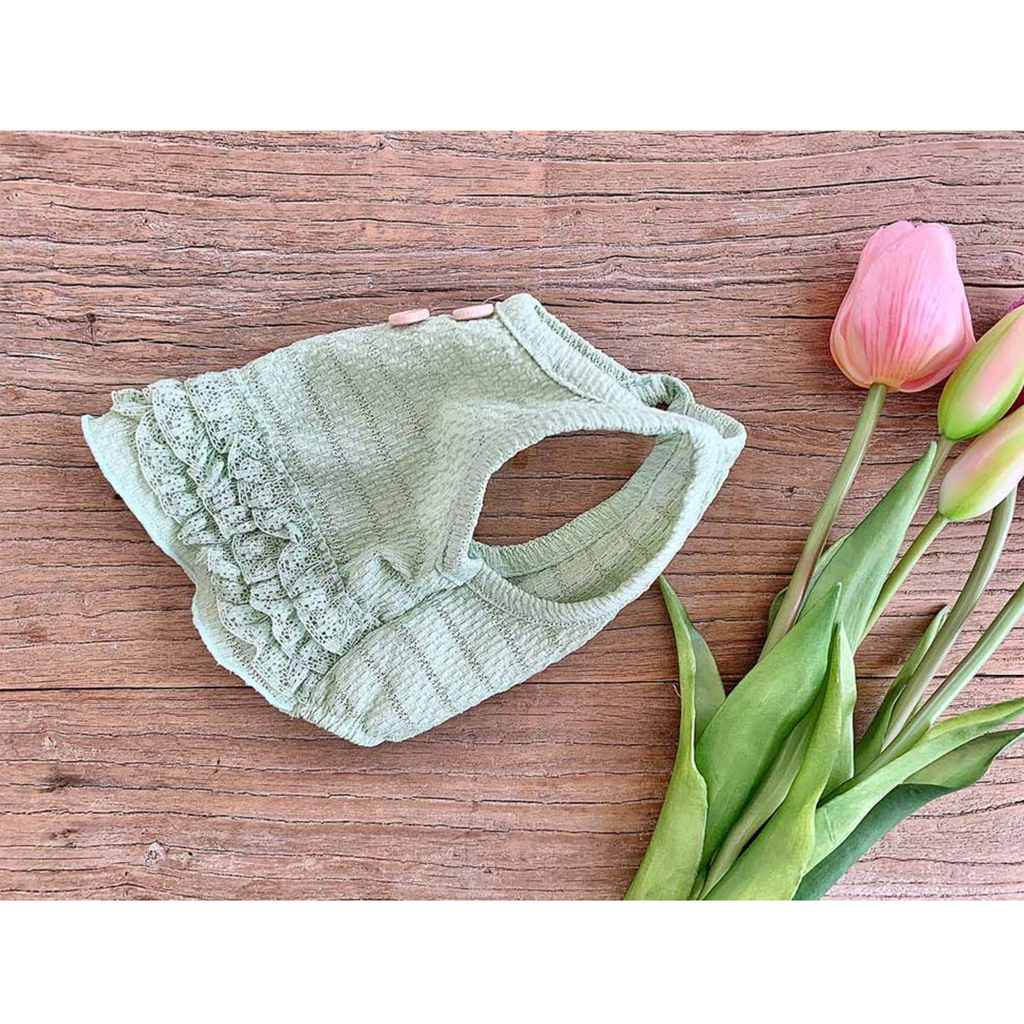 Dog Pet Wear | Picnic Sleeveless | 正價