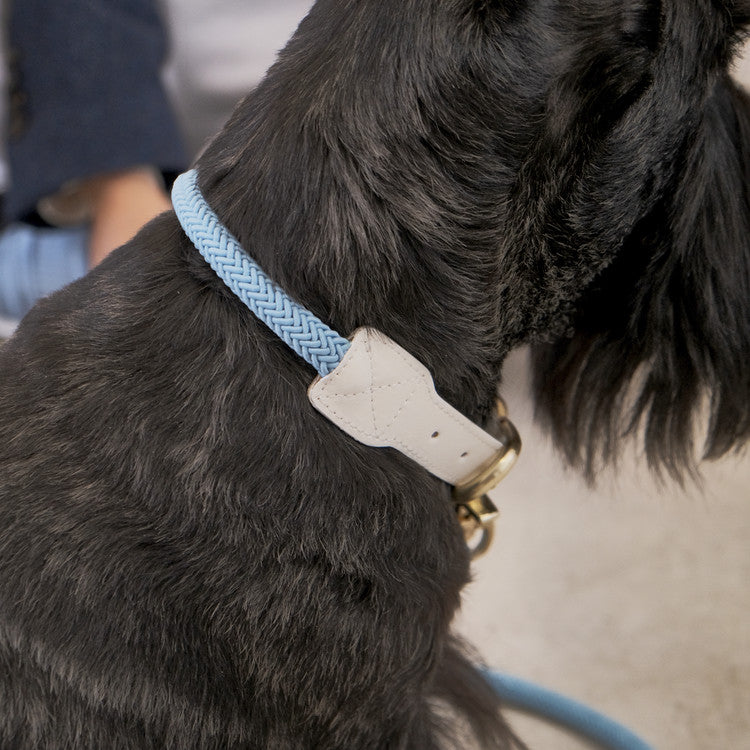 SMIER | S-rope Dog Collar |  正價