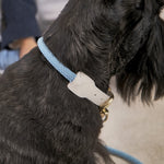 SMIER | S-rope Dog Collar | 正價