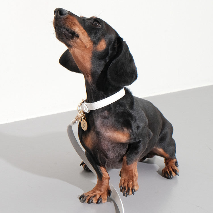SMIER | H-rope Dog Collar |  正價