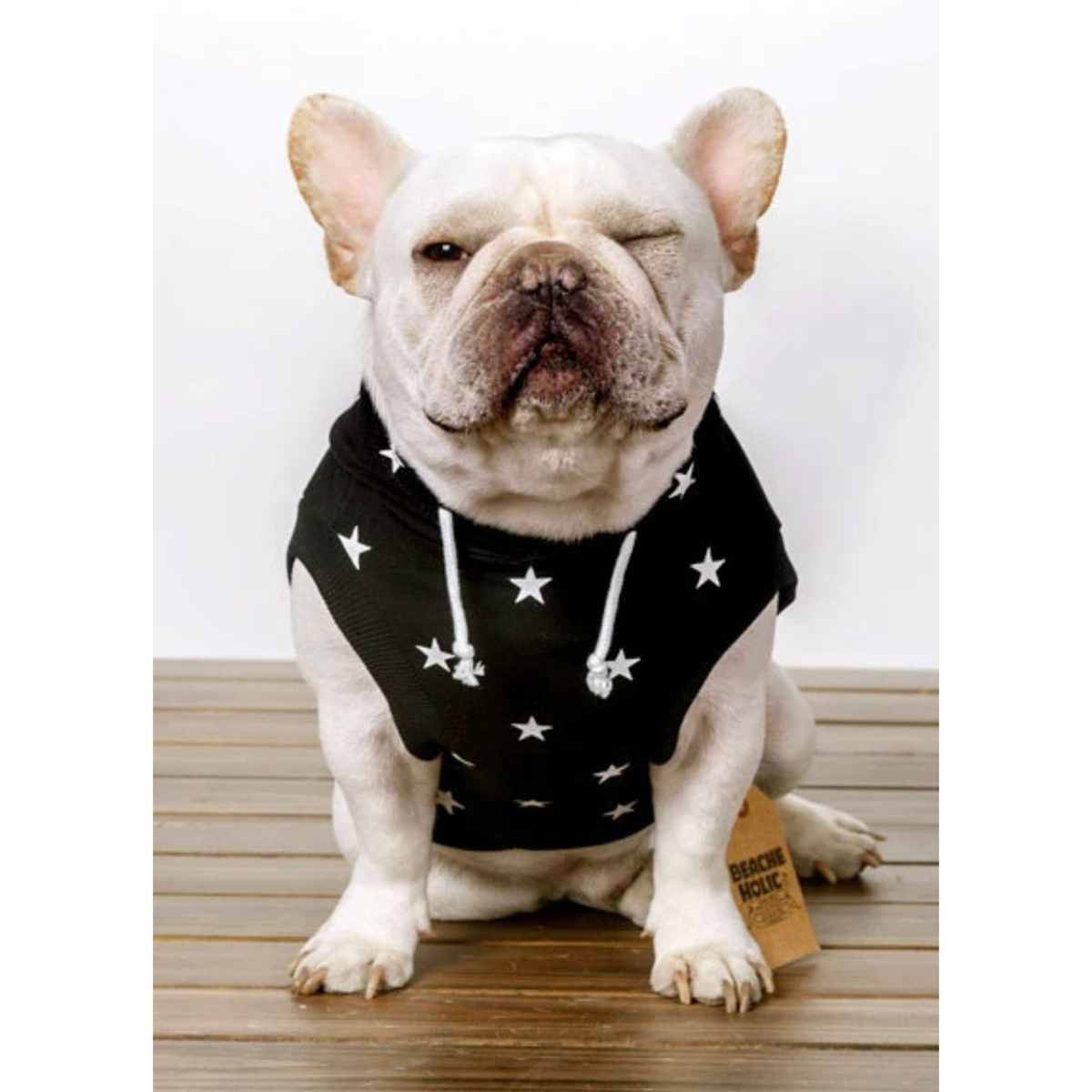 Dog Pet Wear | Twinkle Star Hoodie | 正價