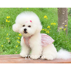 Dog Pet Wear | Iris Dress | 正價