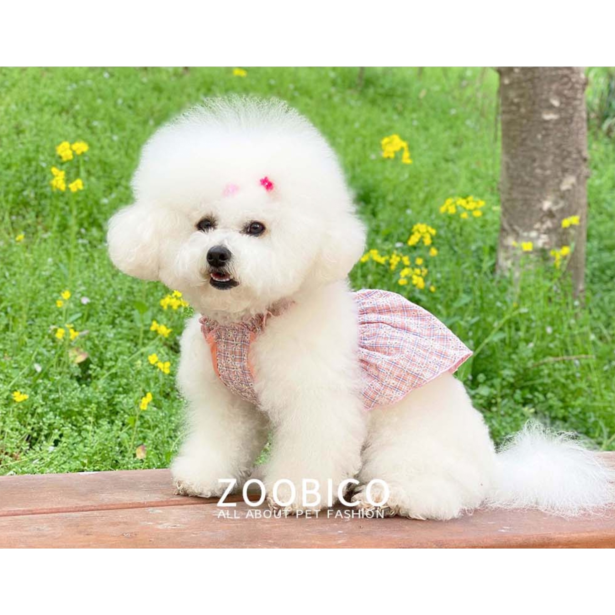Dog Pet Wear | Iris Dress | 正價