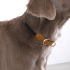 SMIER | S-rope Dog Collar |  正價