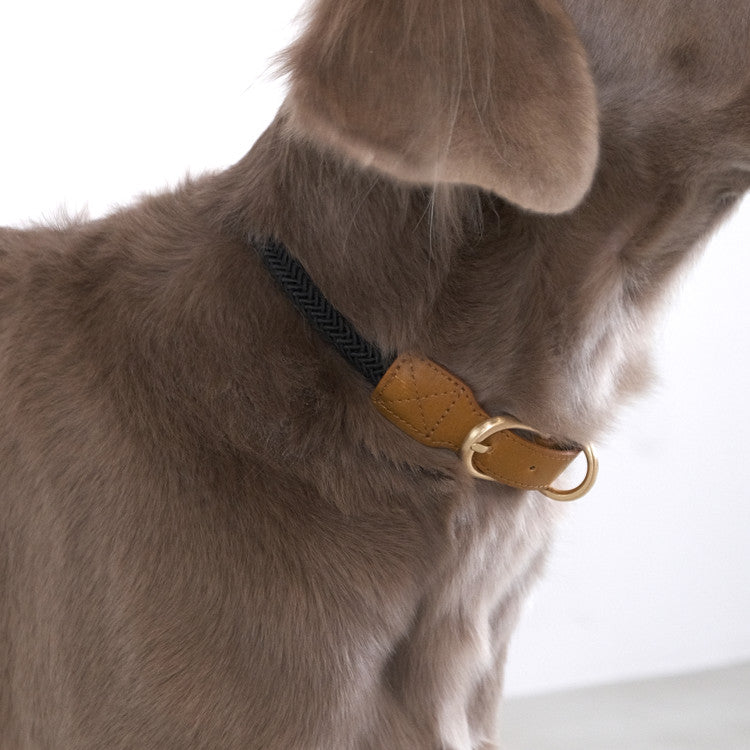 SMIER | S-rope Dog Collar |  正價