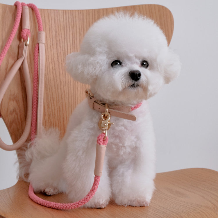 SMIER | S-rope Dog Leash |  正價