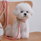 SMIER | S-rope Dog Leash |  正價