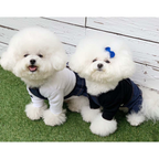 Dog Pet Wear | Jean All In One | 正價