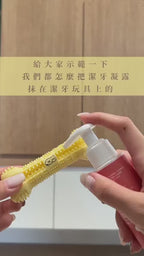Dog Pet Care | 寵物潔牙牙刷玩具｜正價