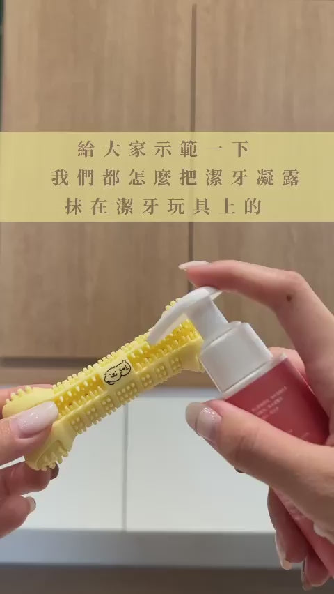 Dog Pet Care | 寵物潔牙牙刷玩具｜正價