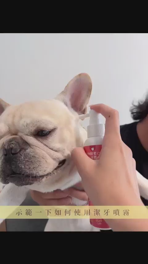 Dog Pet Care | 寵物酵素口腔除臭噴霧｜清新果香｜正價