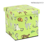 Tomo Corporation | Storage Stool | Madagascar Life | 正價 (4679874609226)