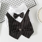 Dog Pet Wear | Suit | 正價 (4796831367242)