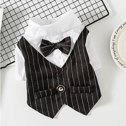 Dog Pet Wear | Suit | 正價 (4796831367242)