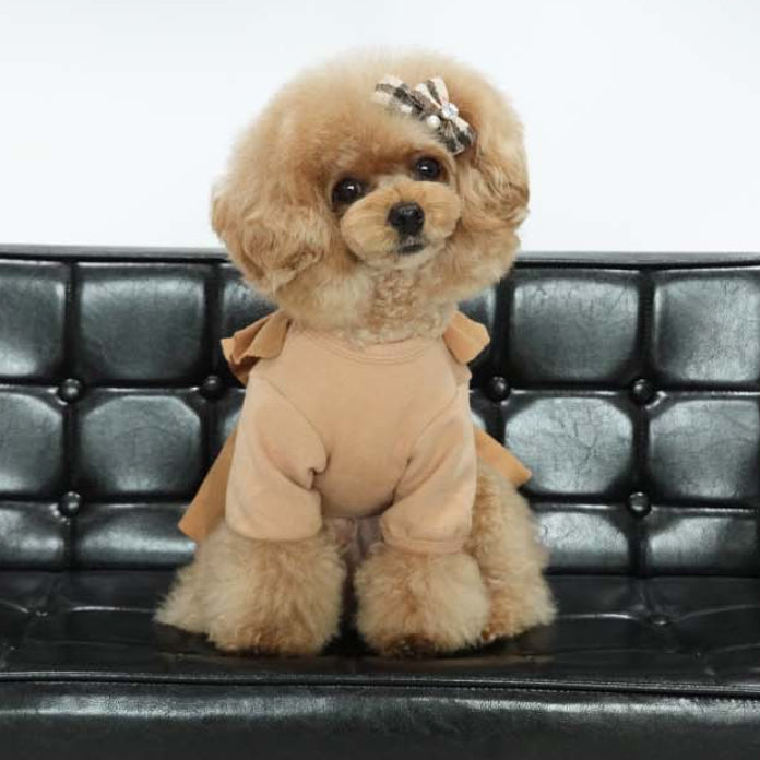 Dog Pet Wear | Trench Coat Dress | 正價