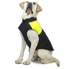 Dog Pet Wear | Coat | 正價