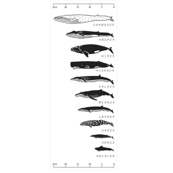 Japanese Pattern Hand Towel | Whale | 正價