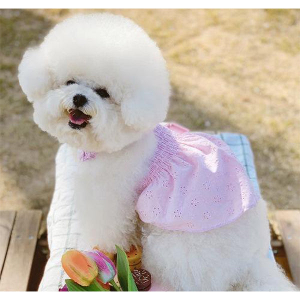 Dog Pet Wear | Flower One-piece Dress | 正價