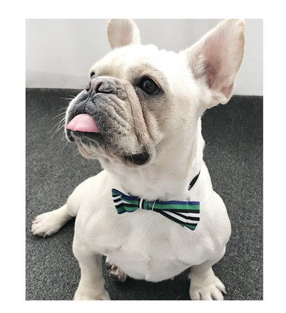 Dog Pet Wear | Collar Ties | 正價