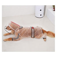 Dog Pet Wear | Transparency Raincoat | 正價
