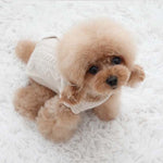 Dog Pet Wear | Cable Knit Vest | 正價