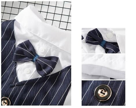 Dog Pet Wear | Suit | 正價 (4796831367242)