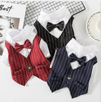 Dog Pet Wear | Suit | 正價 (4796831367242)