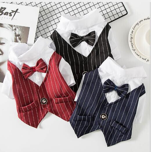 Dog Pet Wear | Suit | 正價 (4796831367242)