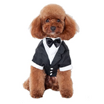 Dog Pet Wear | Formal Suit | 正價